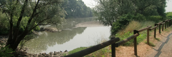 Paesaggio rurale di Calvatone lungo la Variante della Tappa 24 del Cammino di Santa Giulia