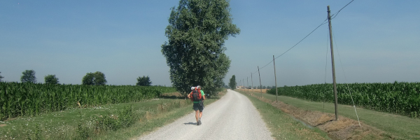 Paesaggio della pianura emiliana verso Novellara lungo la Tappa 19 del Cammino di Santa Giulia