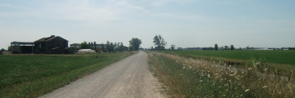 Paesaggio della bassa reggiana tra Novellara e Guastalla lungo la Tappa 20 del Cammino di Santa Giulia