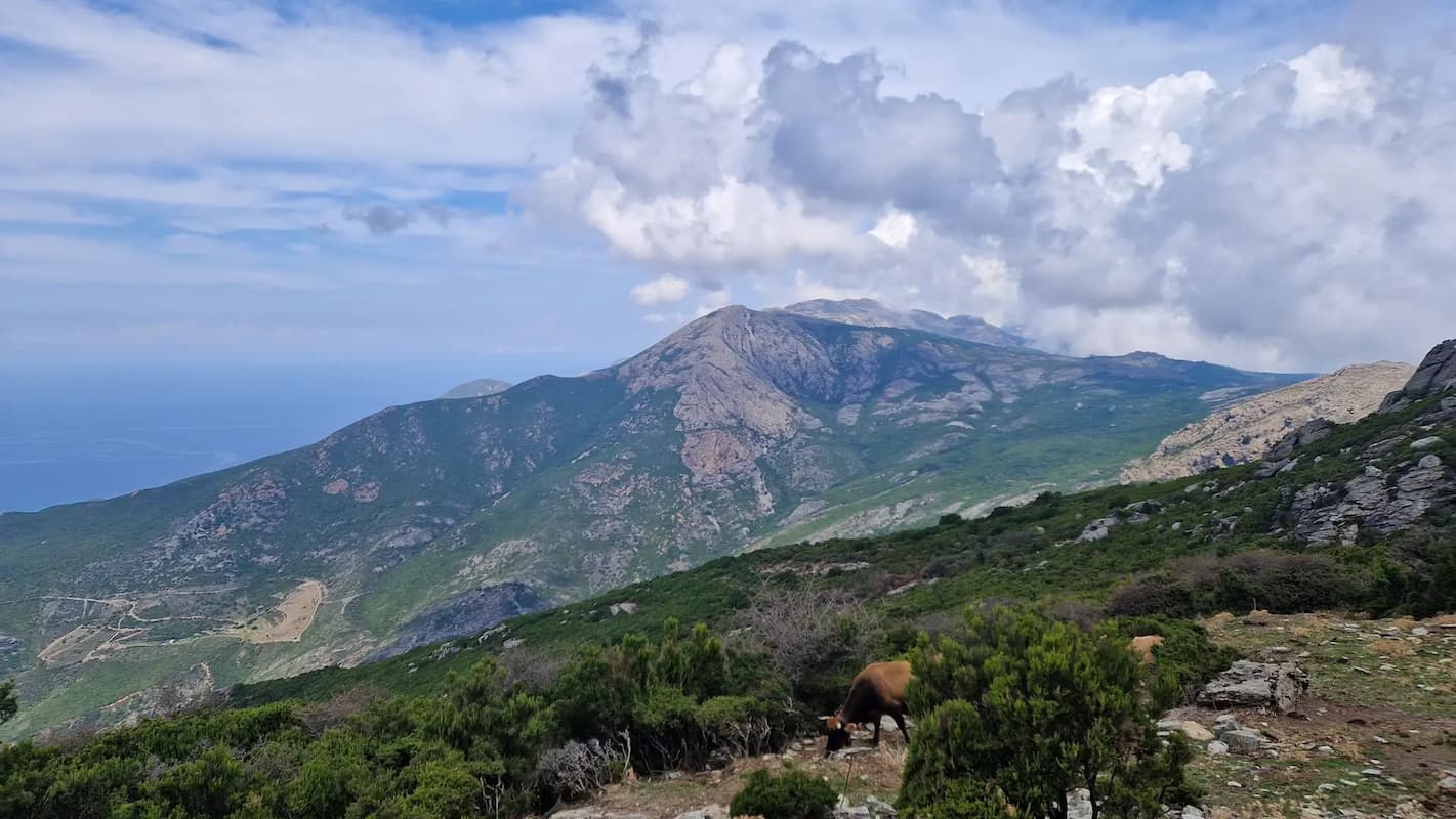 Panorama della Serra di Pigno nell’Alta Corsica, area montuosa del Nebbio attraversata dal Cammino di Santa Giulia